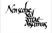 Non scholae sed vitae discimus (Учимся не для школы, но для жизни)